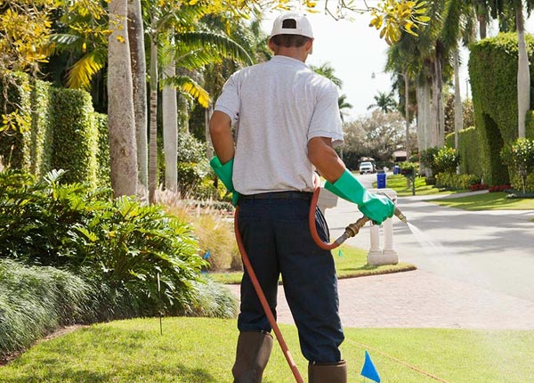About Mission SD Pest Control